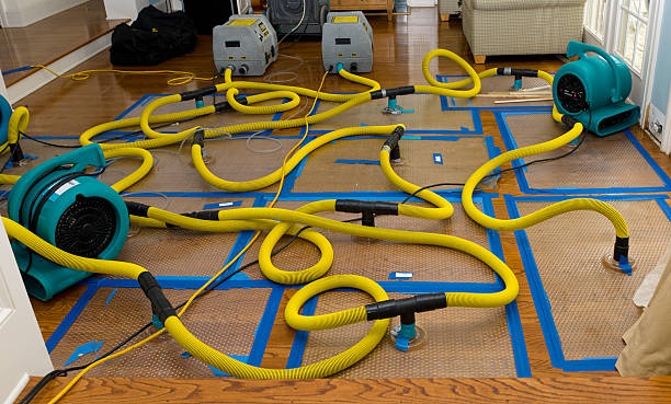 Professional Crawl Space Water Removal technician working in Prince, WV